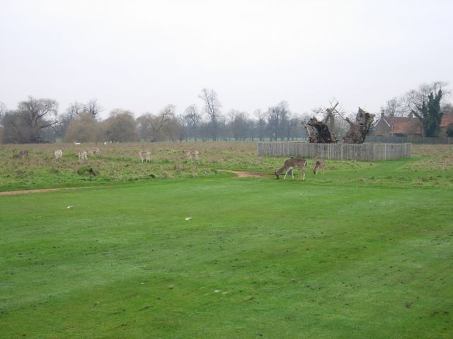 Home_Park_-_geograph.org.uk_-_305369